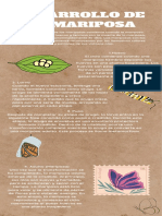 Infografía Insectos y Naturaleza Craft Beige