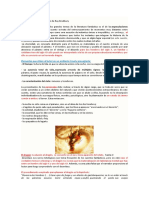 Pdfcoffee.com Resumen Del Cuento El Dragon de Ray Bradbury 3 PDF Free (1)