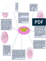 8.3 Mapa Mental Exploracion Mamas