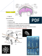 eXAMEN ZOOPLANCTON 1