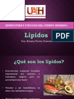 3LIPIDOS