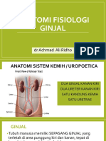 Anatomi Fisiologi Ginjal