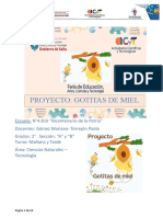 Proyecto Feria de Ciencias 2do Grado 2023