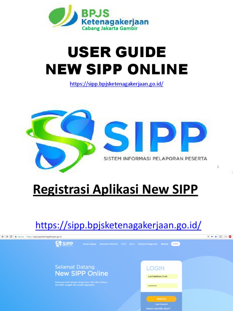 User Guide New Sipp Online | PDF