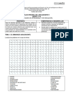 Nivelación PDF