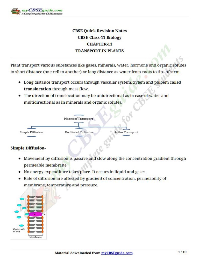 11 Biology Notes Ch11 Transport In Plants Pdf
