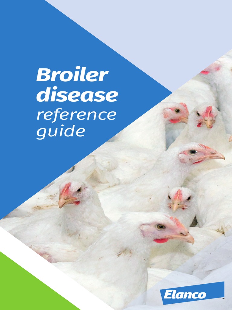 Broiler Disease Reference Guide | PDF | Gastrointestinal Tract | Digestion