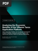 Economic Validation Tanzu Application Platform