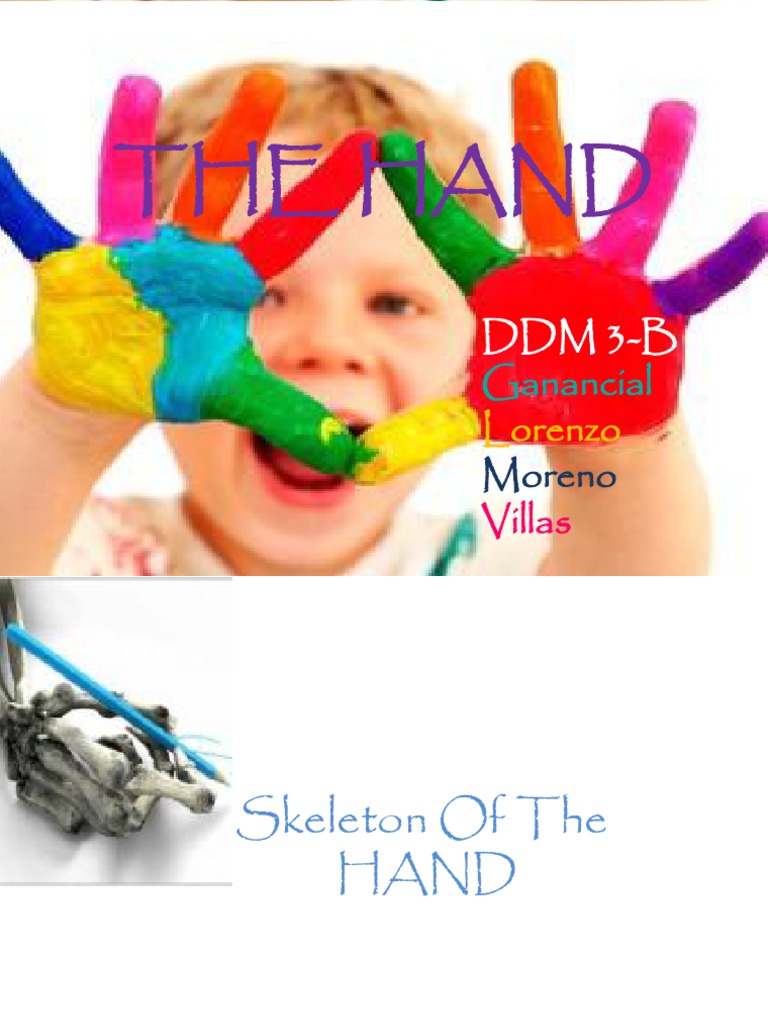 The Hand: DDM 3-B | PDF | Thumb | Finger