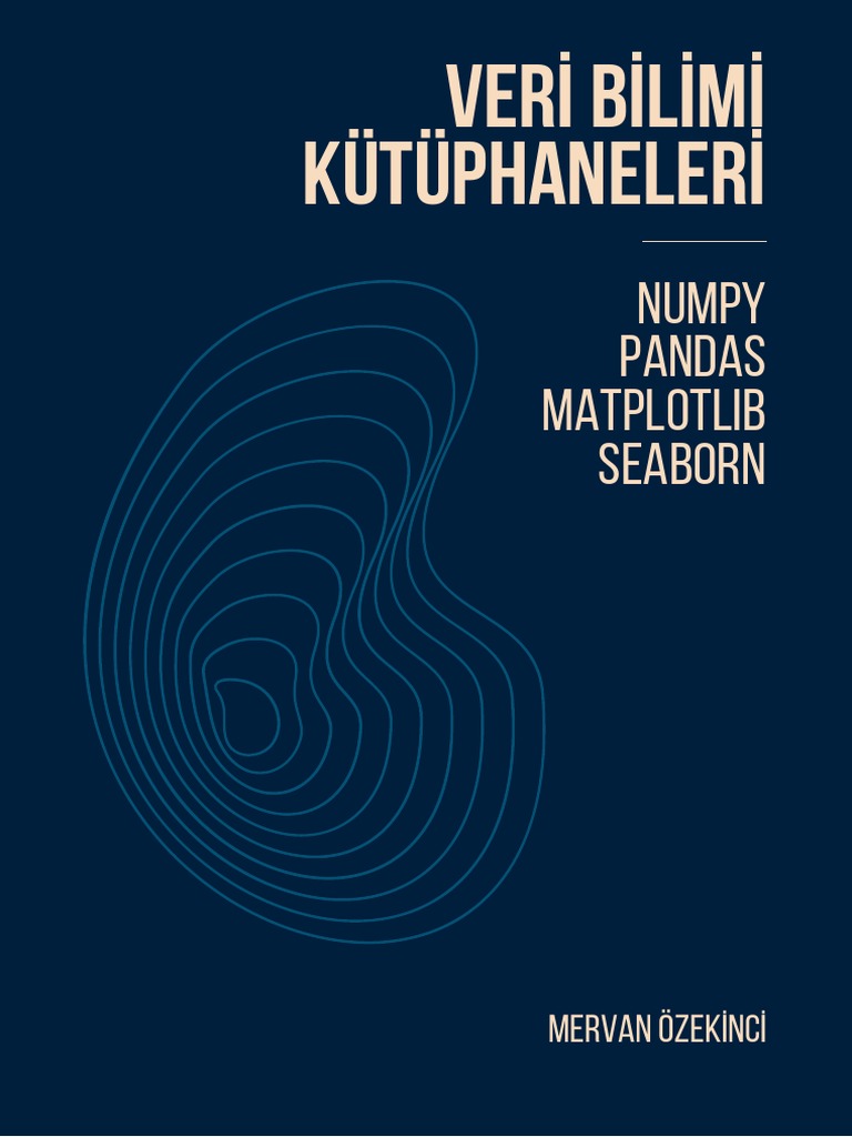 VB Kitap-1 | PDF