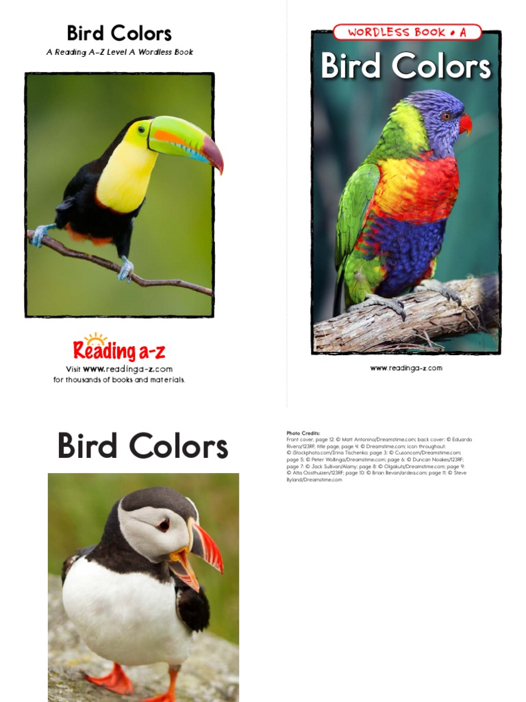 Raz La37wb Birdcolors | PDF