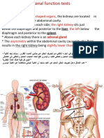 Kidney - Glucose - PDF Filename UTF-8''kidney + Glucose