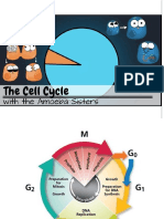 Ciclo Celular, Senescencia y Muertepptx