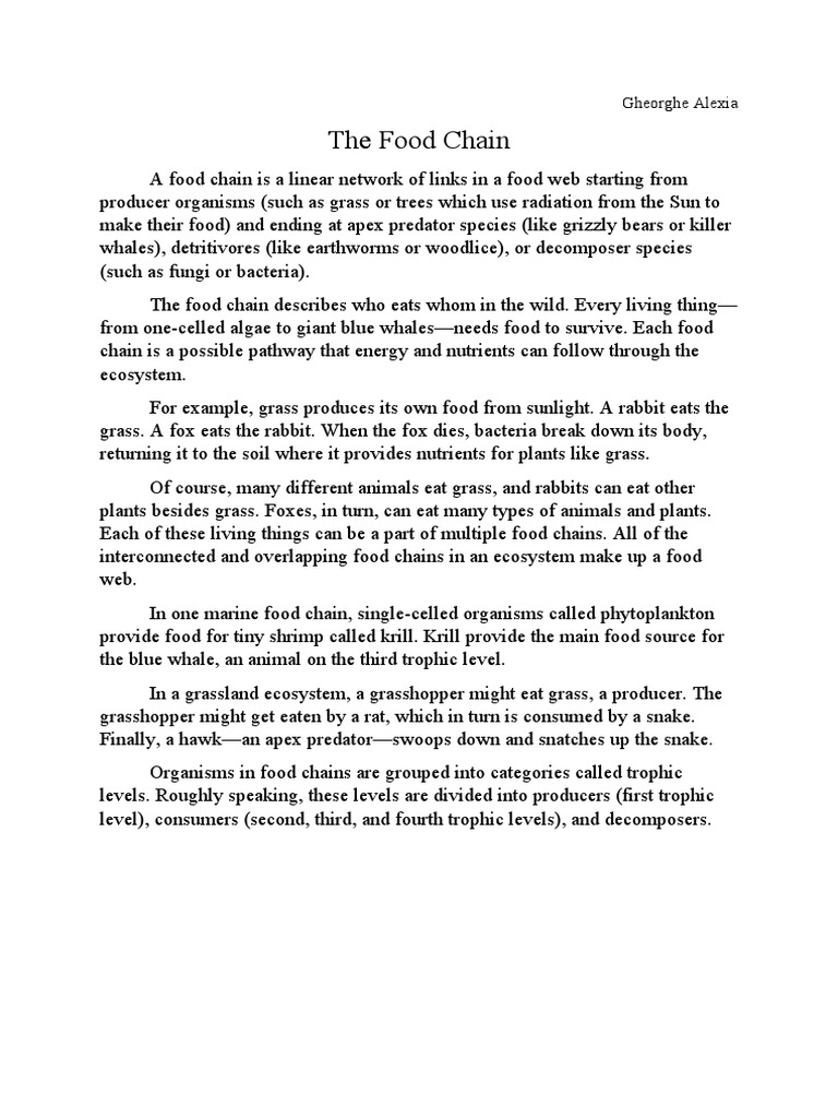 Food Chain | PDF
