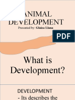 Animal Development 3