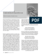 Documat BuhosGrandesYMochuelosPequenosII 5173307