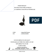 Porto Folio Pramuka Garuda