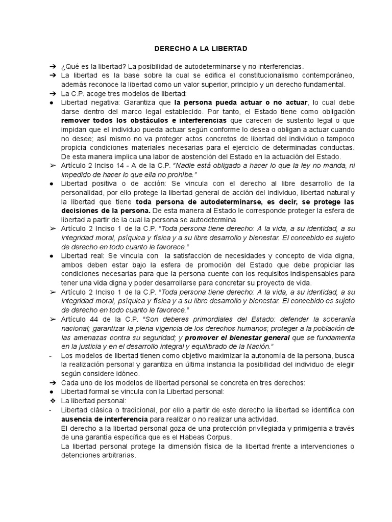 Clase 25 de Mayo - D. Constitucional | PDF | Libertad | Derecho ...