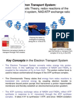 Electron Transport System