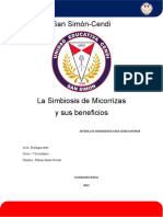 Monografia Sobre La Simbiosis Macorriza