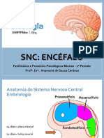 Encéfalo 2023-1