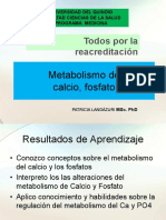 Metabolismo Calcio y Fosforo - 230306 - 074410