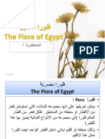 1 Flora 2022 M