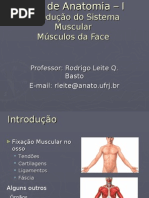 Aula de Anatomia – I