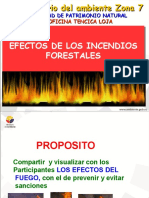 Charla - Efectos de Los Incendios