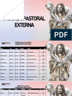 Slide Pratica Pastoral 2023.1