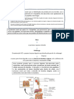 Os Peptídeos São Absorvidos Pelos Enterócitos