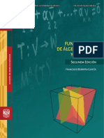 (2023) Fundamentos de Álgebra Lineal y Ej.V2