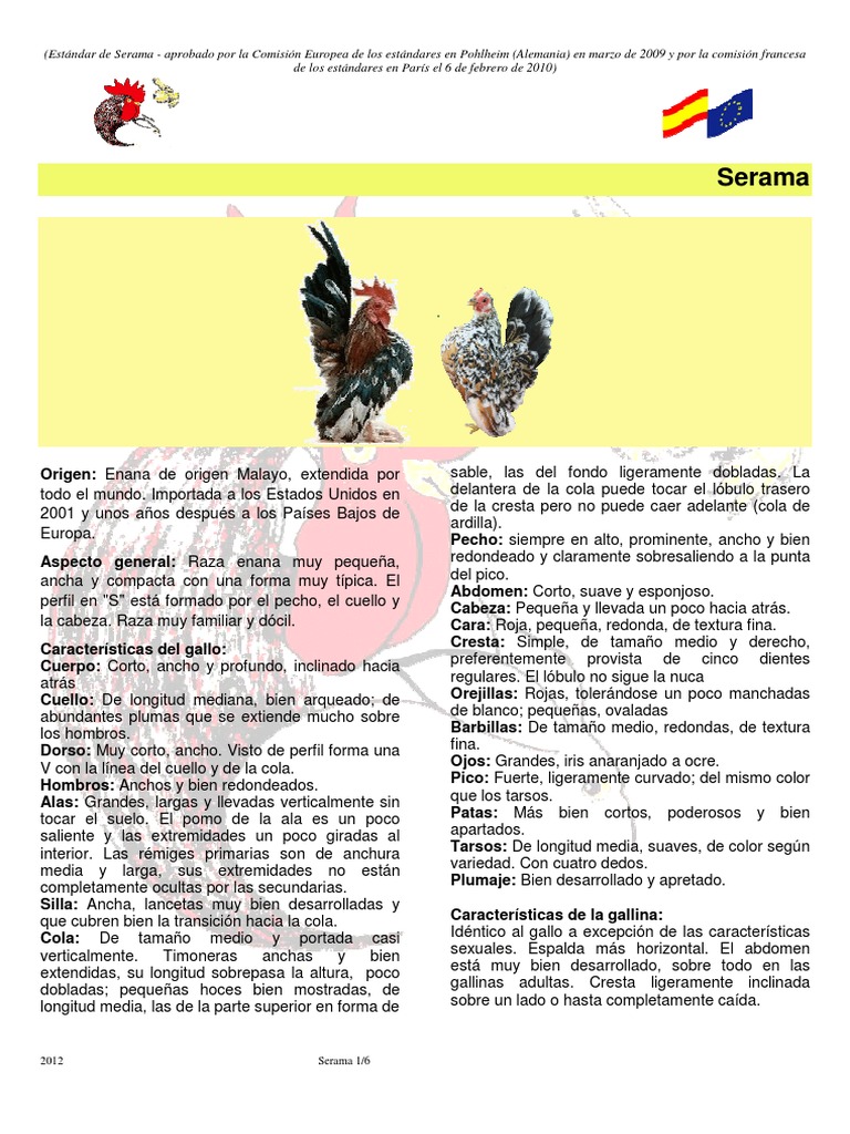 Serama PDF marrón Color