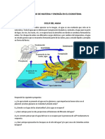 Taller Flujo de Materia y Energía en El Ecosistema - Ciclos Biogeoquimicos