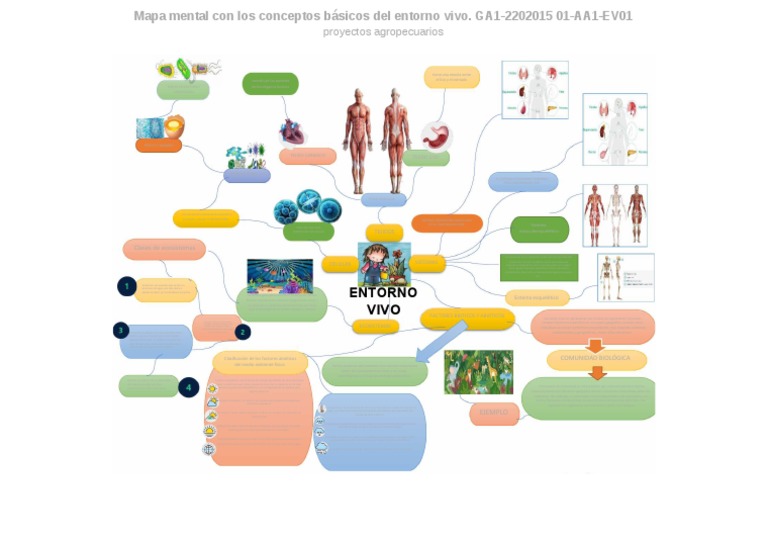 Mapa Mental Con Los Conceptos Basicos Del Entorno Vivo Ga1 2202015 01 ...