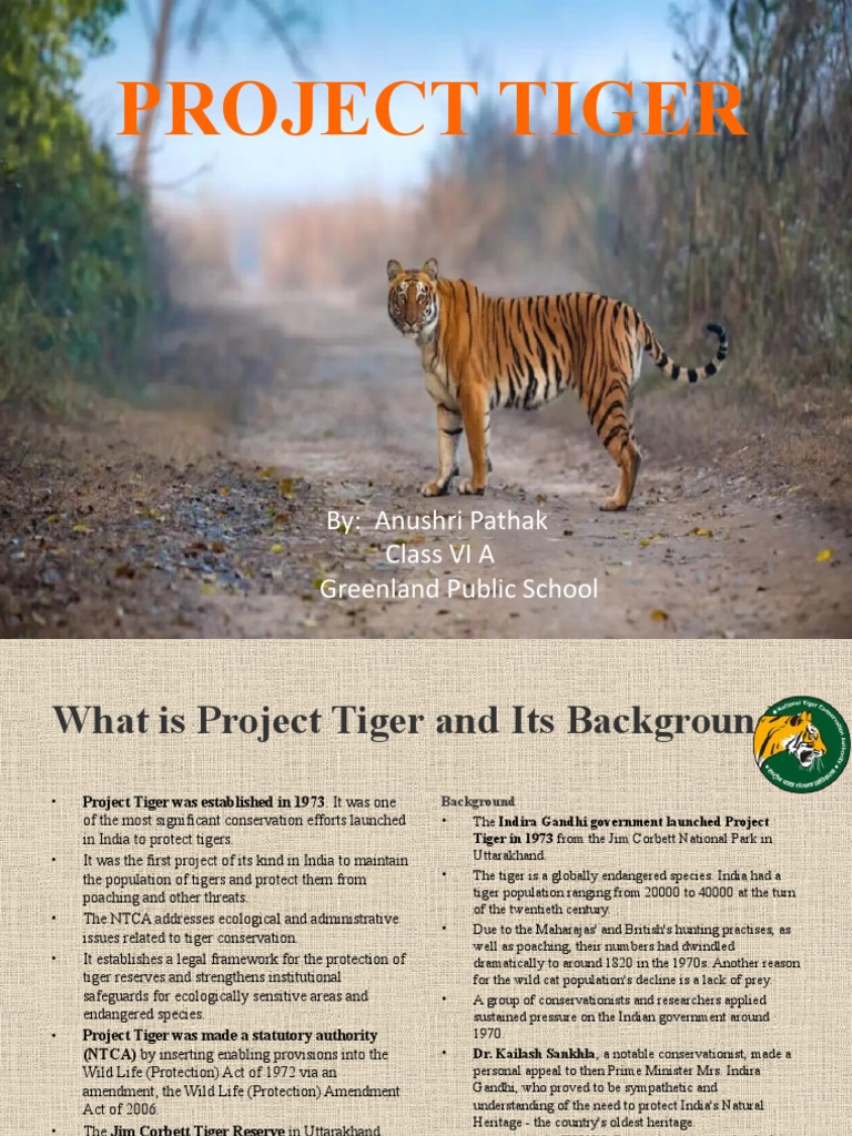 Project Tiger: Conservation Success in India | PDF | Tiger ...