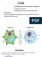 Cells The Building Blocks (Part 1)