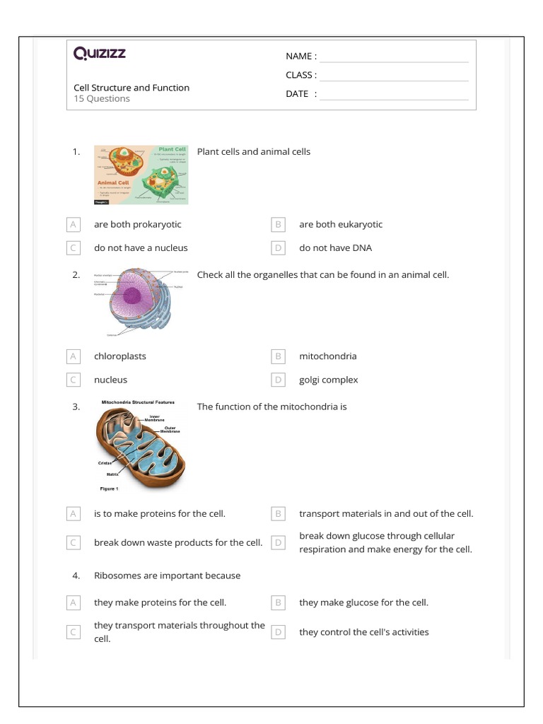 Cell Structure and Function | PDF | Cell (Biology) | Ribosome