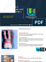 Lesiones de Furca