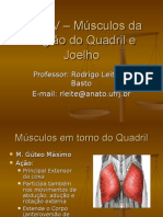 Aula IV - Músculos Da Região Do Quadril-98