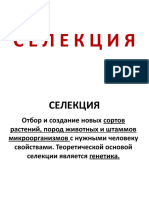 24.2 Селекция-3