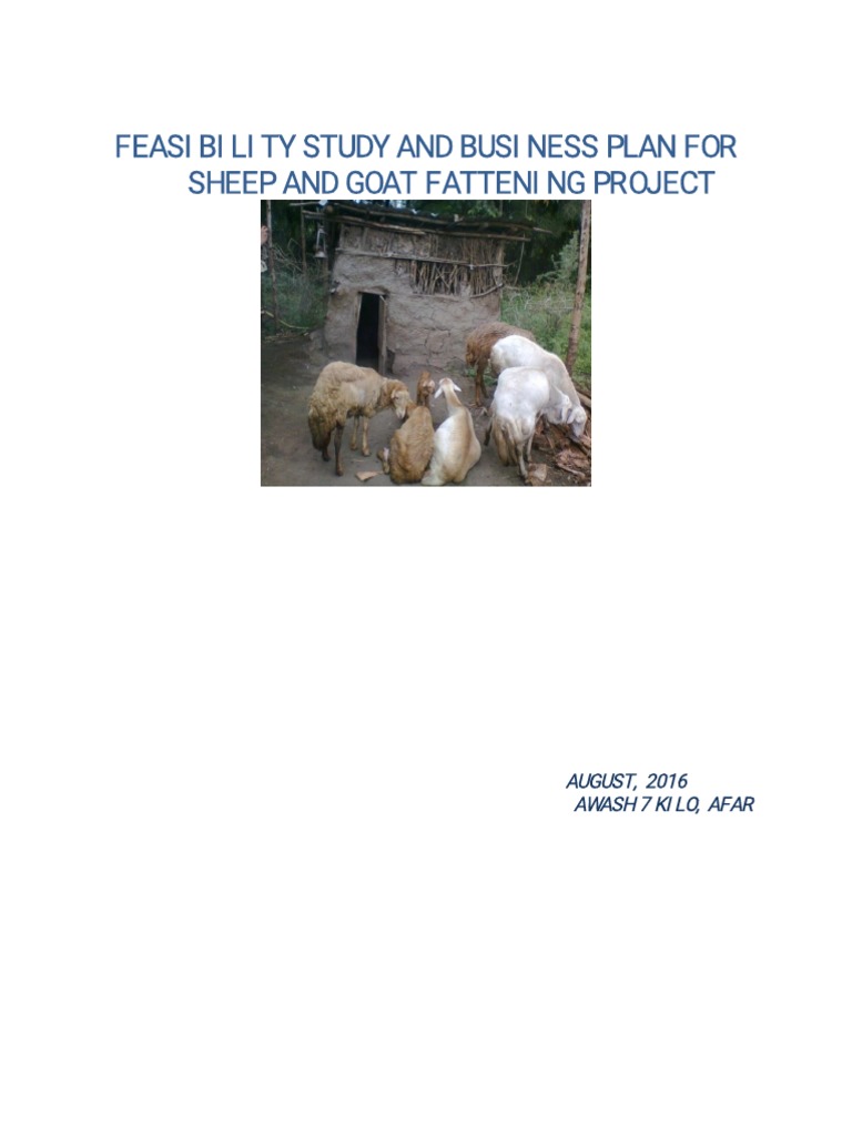 Cattle visual data 6