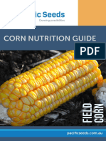 Corn Nutrition Guide
