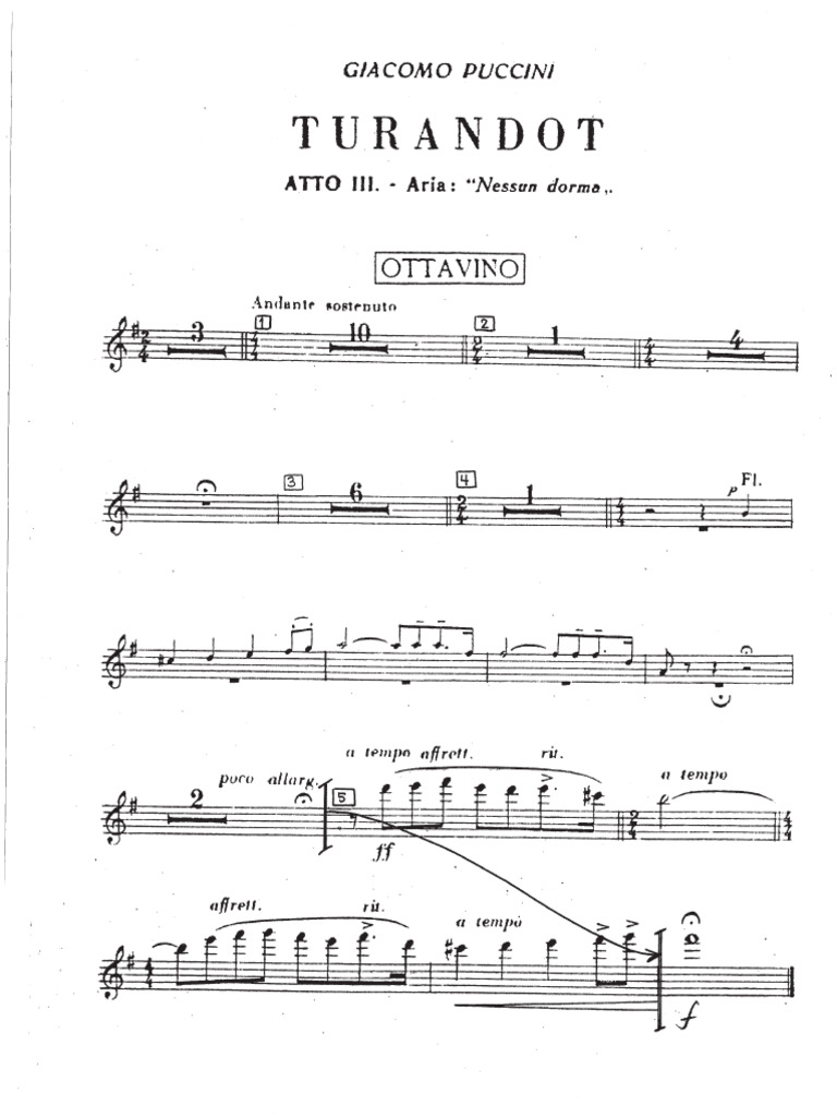 PICCOLO | PDF