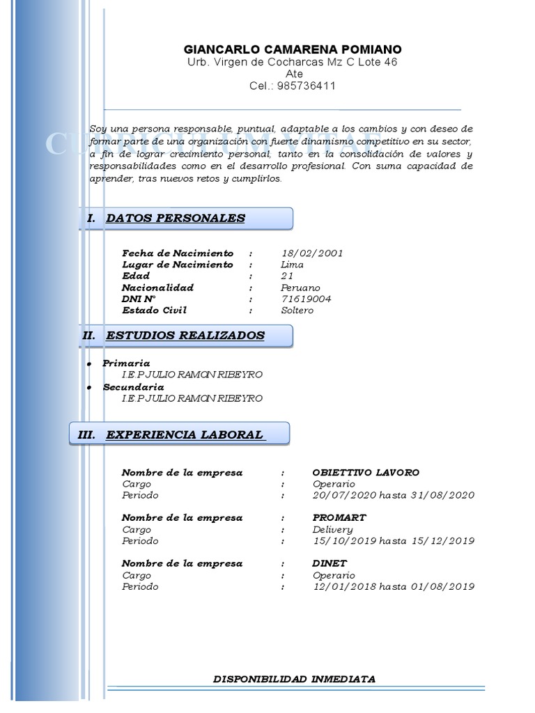 Cv de gian pdf