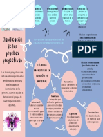 Clasificación de Las Pruebas Proyectivas-S2