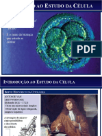 Celulas Citologia Histologia