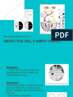 Defectos Del Campo Visual - PPTX - 20230904 - 154228 - 0000