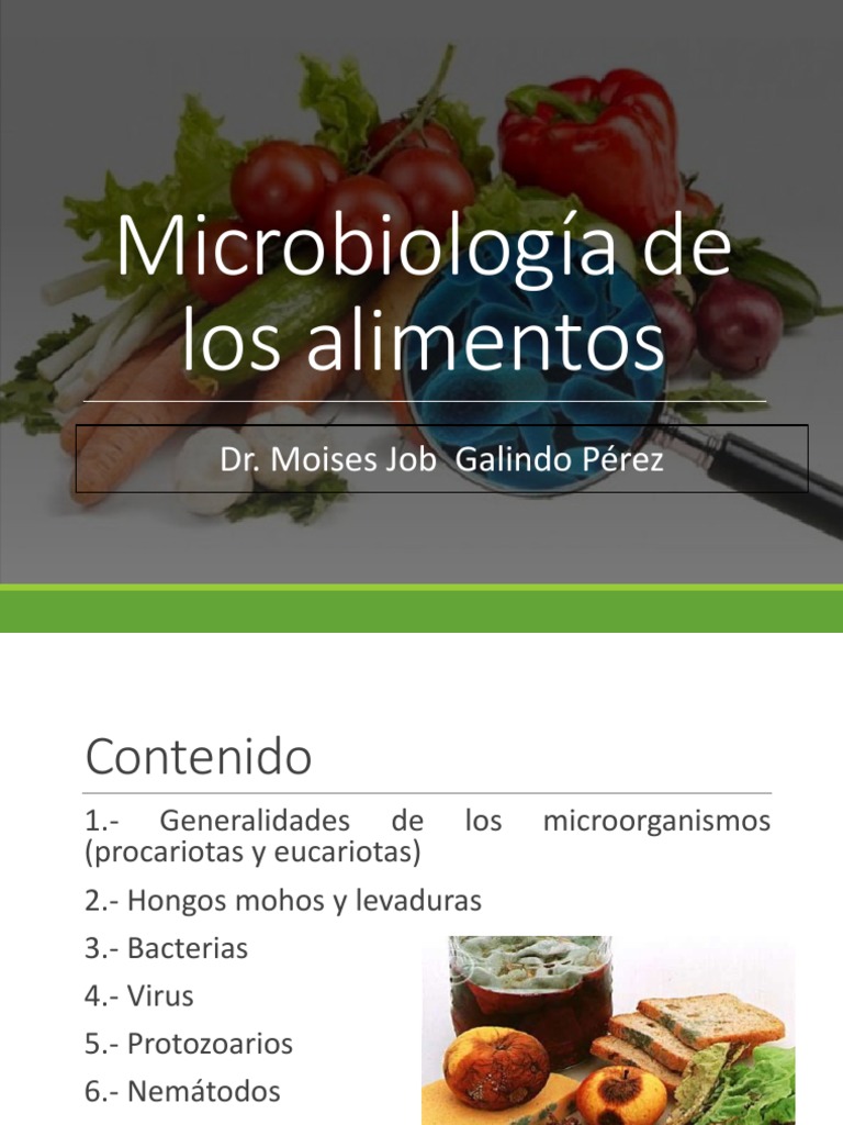 Generalidades de Los Microorganismos en Alimentos | PDF | Biología ...
