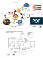 Sensibilización A La Investigación